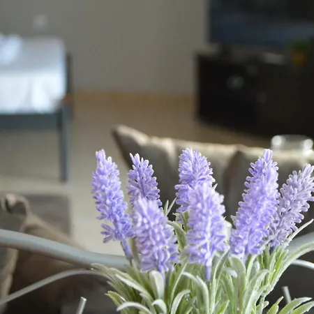 Katerina's Sea View * Kavala